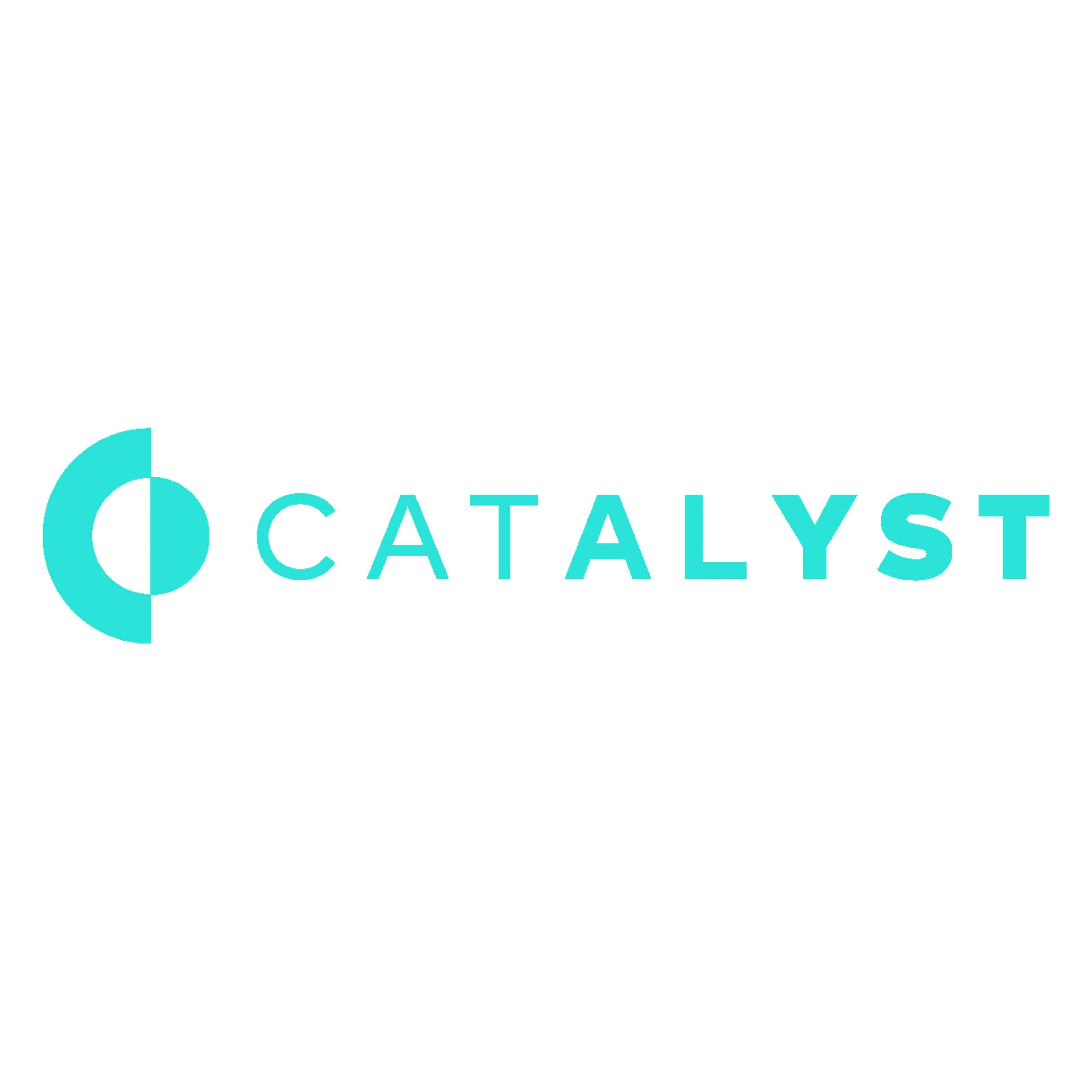 St Pete Catalyst Logo 4